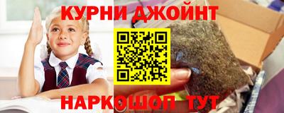 гидра Гай