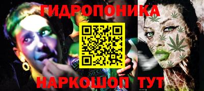 амф Гатчина